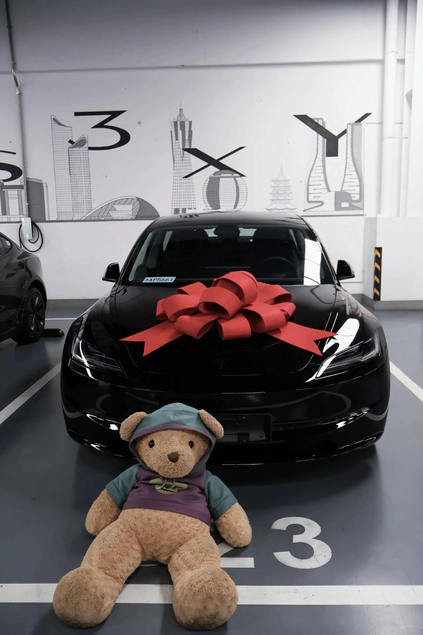 接美式男孩回家！ #特斯拉#特斯拉3 #model3 #大玩具 #提车 #提车拍照姿势 @好多肉CL